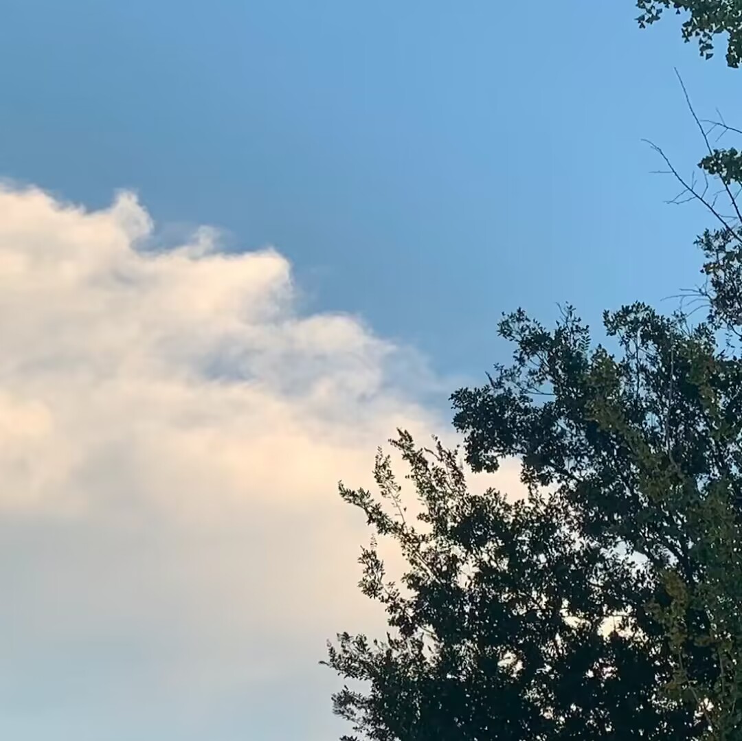 南京日暮网络科技